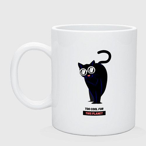 Can too cat