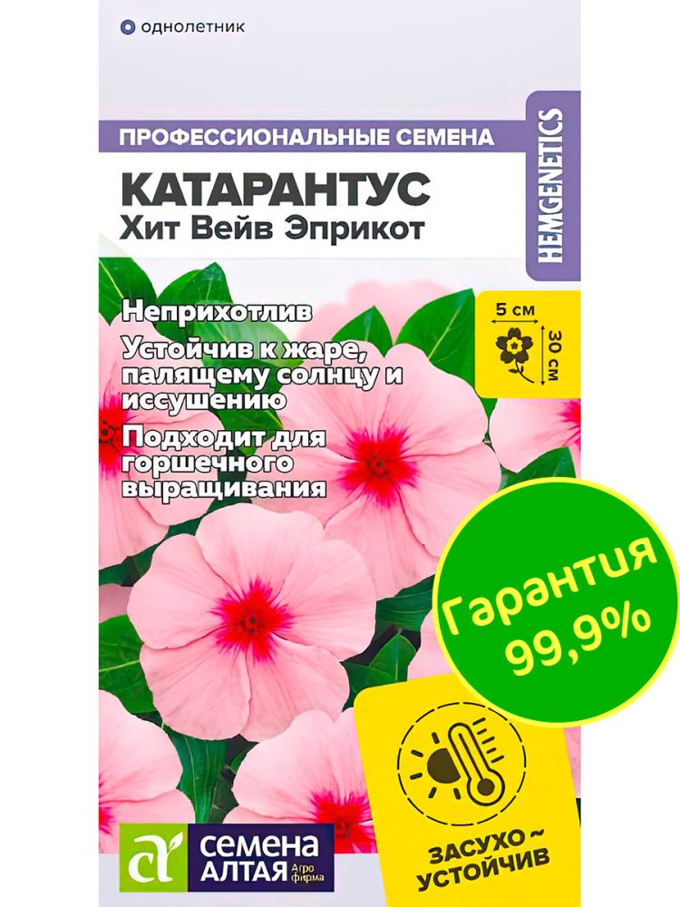 Катарантус Хит Вейв Эприкот(图2)