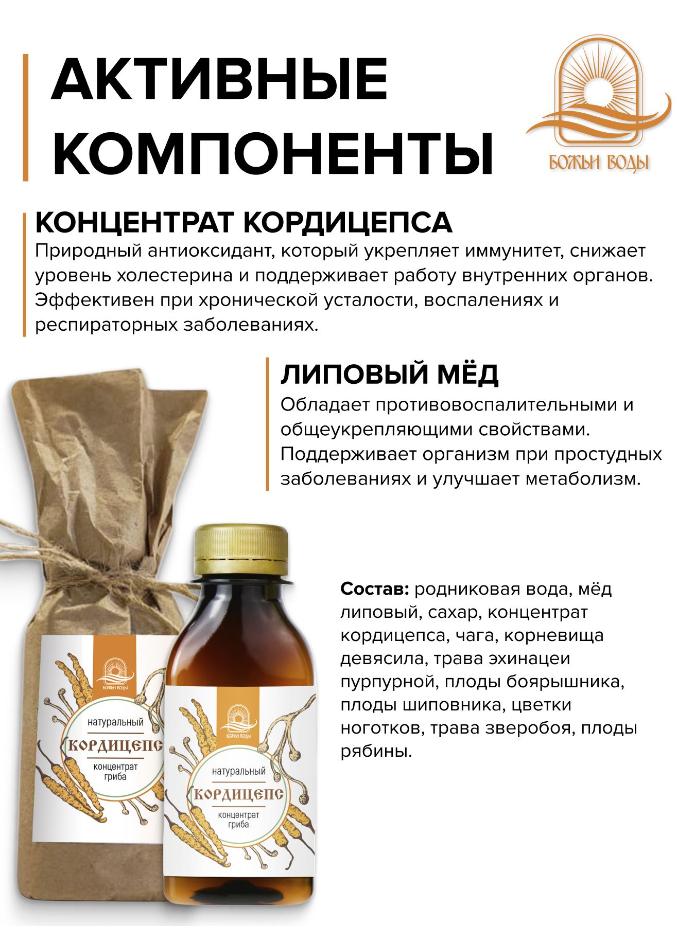 Концентрат кордицепса