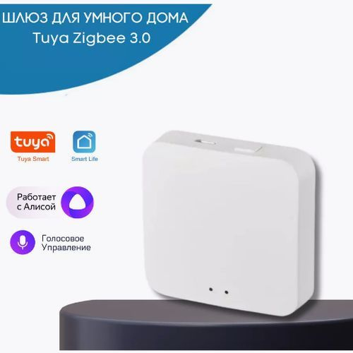 Шлюз хаб для умного дома Tuya Zigbee 3.0 - купить с доставкой по ...
