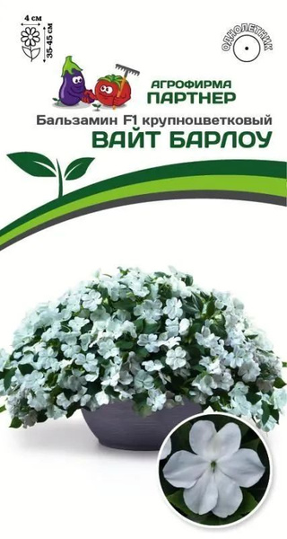 Бальзамины комнатные, Бальзамины однолетние Агрофирма Партнер новинки ...