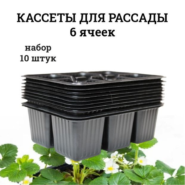 Кассеты для рассады, 6 ячеек, 10 штук купить по низкой цене в интернет ...