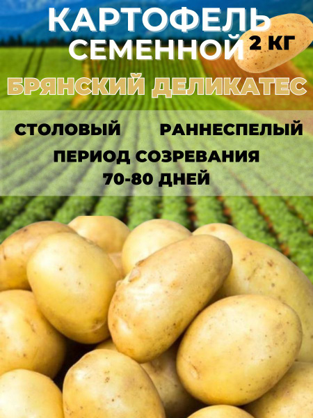 Клубни Картофель Russian Garden купить по выгодной цене в интернет ...