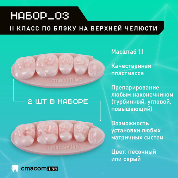 Набор#3 Модели для реставрации зубов/2 штуки/4 зуба/ тренировочные ...
