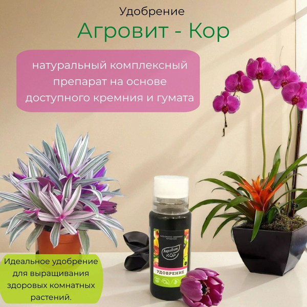 Характеристики Удобрение Агровит-Кор, жидкое, для комнатных цветов, для ...