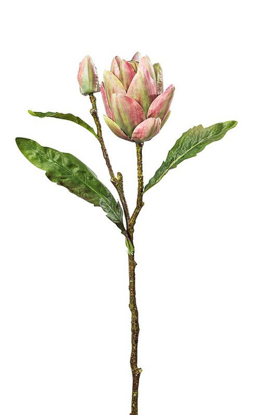 Купить Цветок декоративный Fiebiger Floristik "Артишок" по выгодной ...