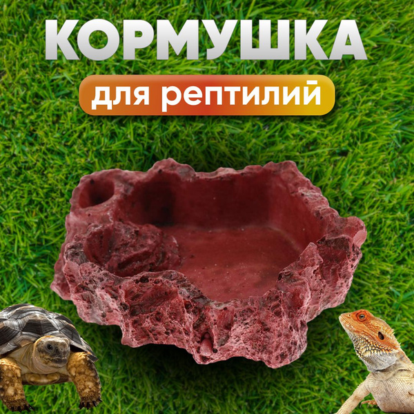 Кормушка-поилка для рептилий в террариум для воды / еды, 9x6 см ...