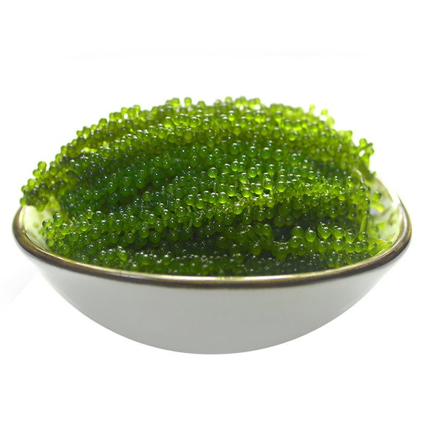 Морской виноград 100 г 1мешка купить на OZON по низкой цене (1586968625)