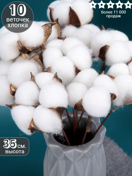 Букет из сухоцветов Хлопок, 30 см, 150 гр, 10 шт купить по выгодной ...