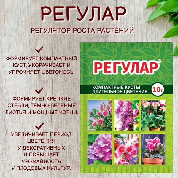 Регулар 10 г. Регулятор роста растений. - купить с доставкой по ...