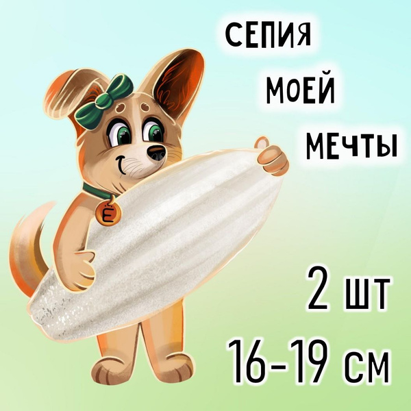 2 шт 16-19 см - Минеральный камень - Панцирь каракатицы (Сепия для ...