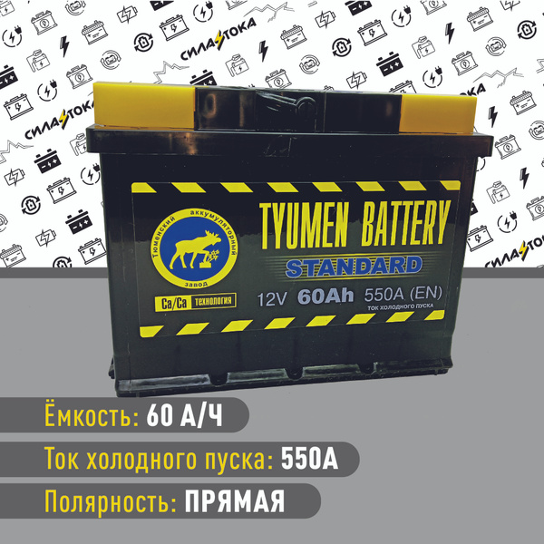 Аккумулятор автомобильный Тюменский аккумуляторный завод TUMEN60R ...