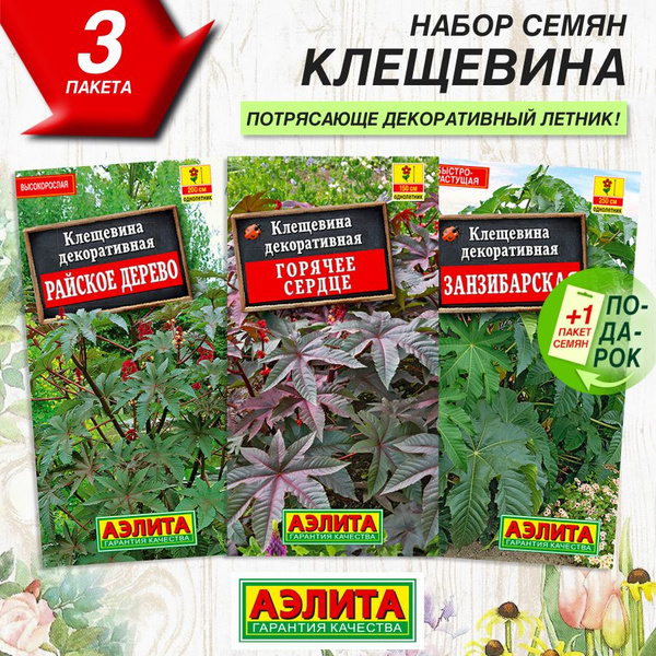 Клещевины Аэлита Однолетние - купить по выгодным ценам в интернет ...