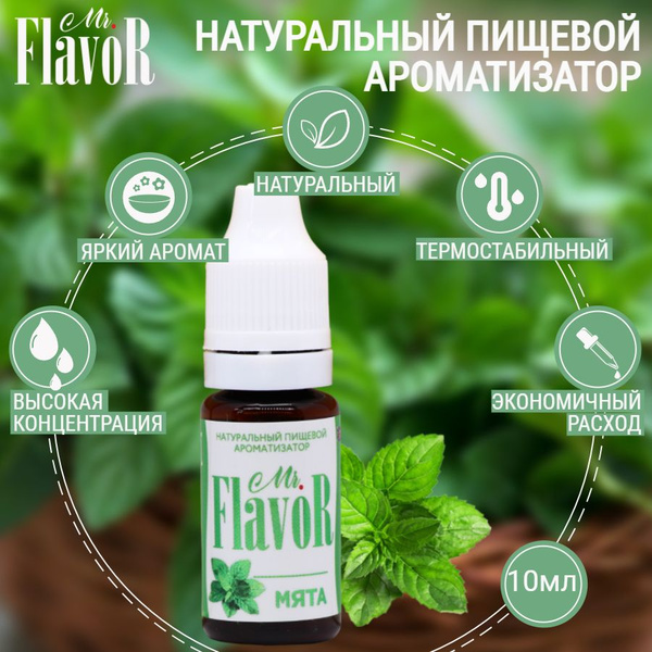 Ароматизатор Mr.Flavor Мята 10мл - купить с доставкой по выгодным ценам ...