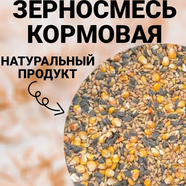 Зерновая смесь. Корм для с/х птицы, для скота 5кг - купить с доставкой ...