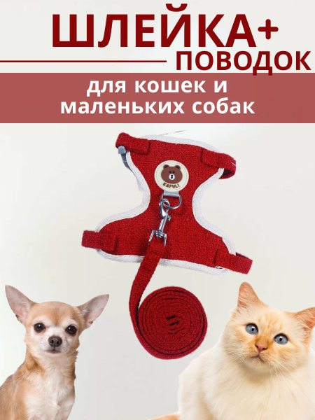 Комплект шлейка и поводок для кошек и собак мини купить на OZON по ...
