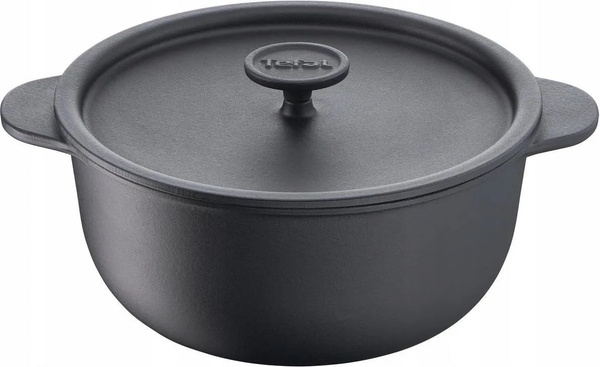 Чугунная кастрюля Tefal Tradition 20 см E2254404 купить на OZON по ...