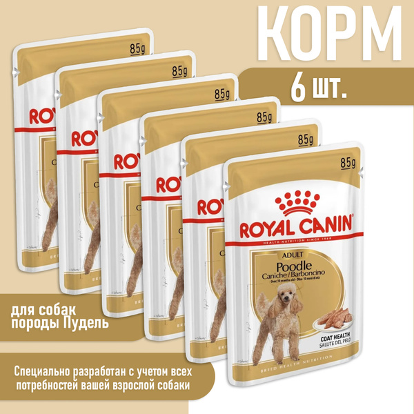 Консервированный корм для взрослых собак породы пудель 85 г - купить с ...