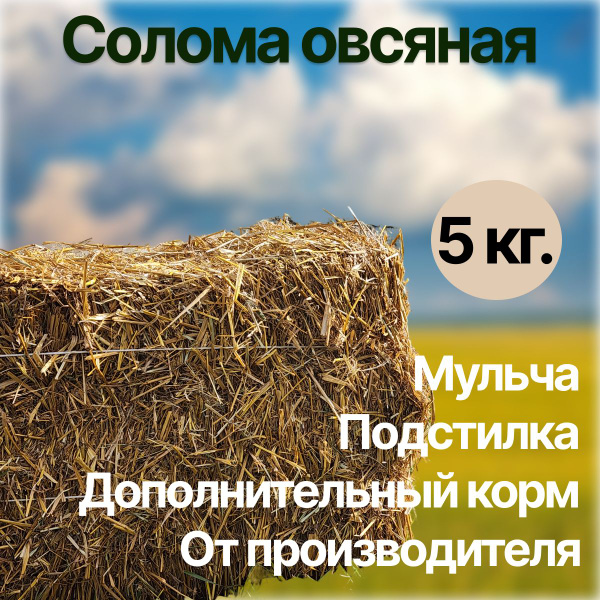 Солома овсяная для с/х животных, мульча, удобрение, подстилка для собак ...