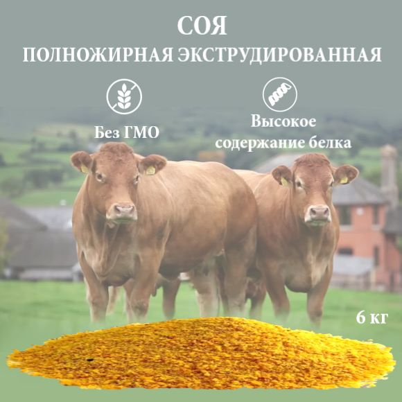 Соя полножирная экструдированная. Белково-кормовая добавка для с/х ...