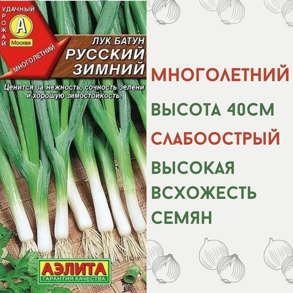 Лук Аэлита Лук на зелень " Лучок на пучок"_1 - купить по выгодным ценам ...
