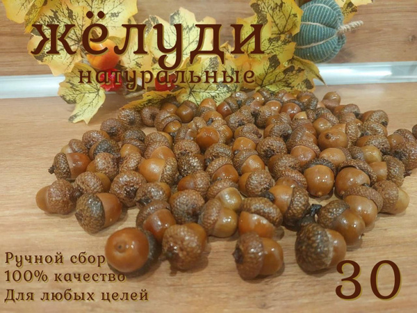 желуди купить на OZON по низкой цене (1784900298)