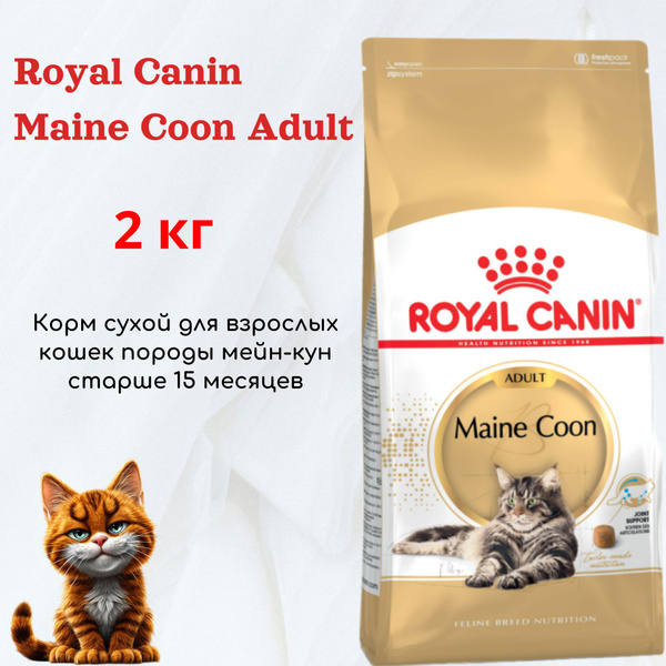 Royal Canin Maine Coon 2 Кг Купить