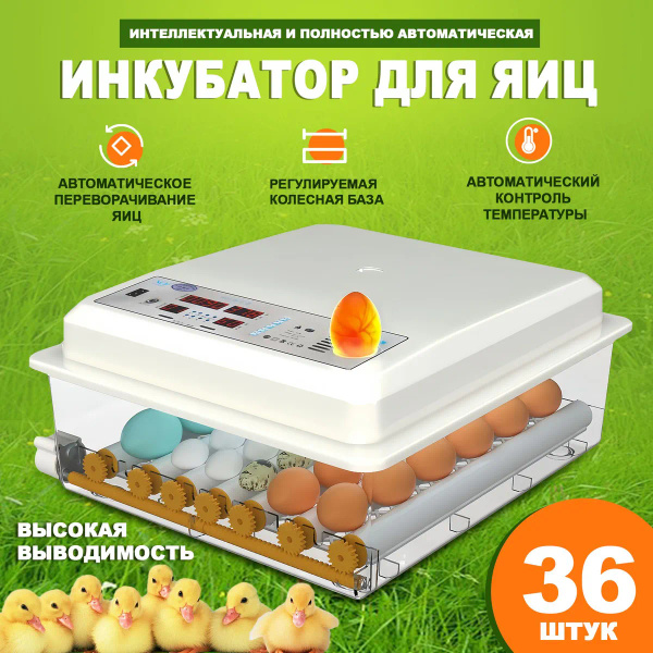 Инкубатор для яиц автоматический 36 с терморегулятором, гигрометром ...