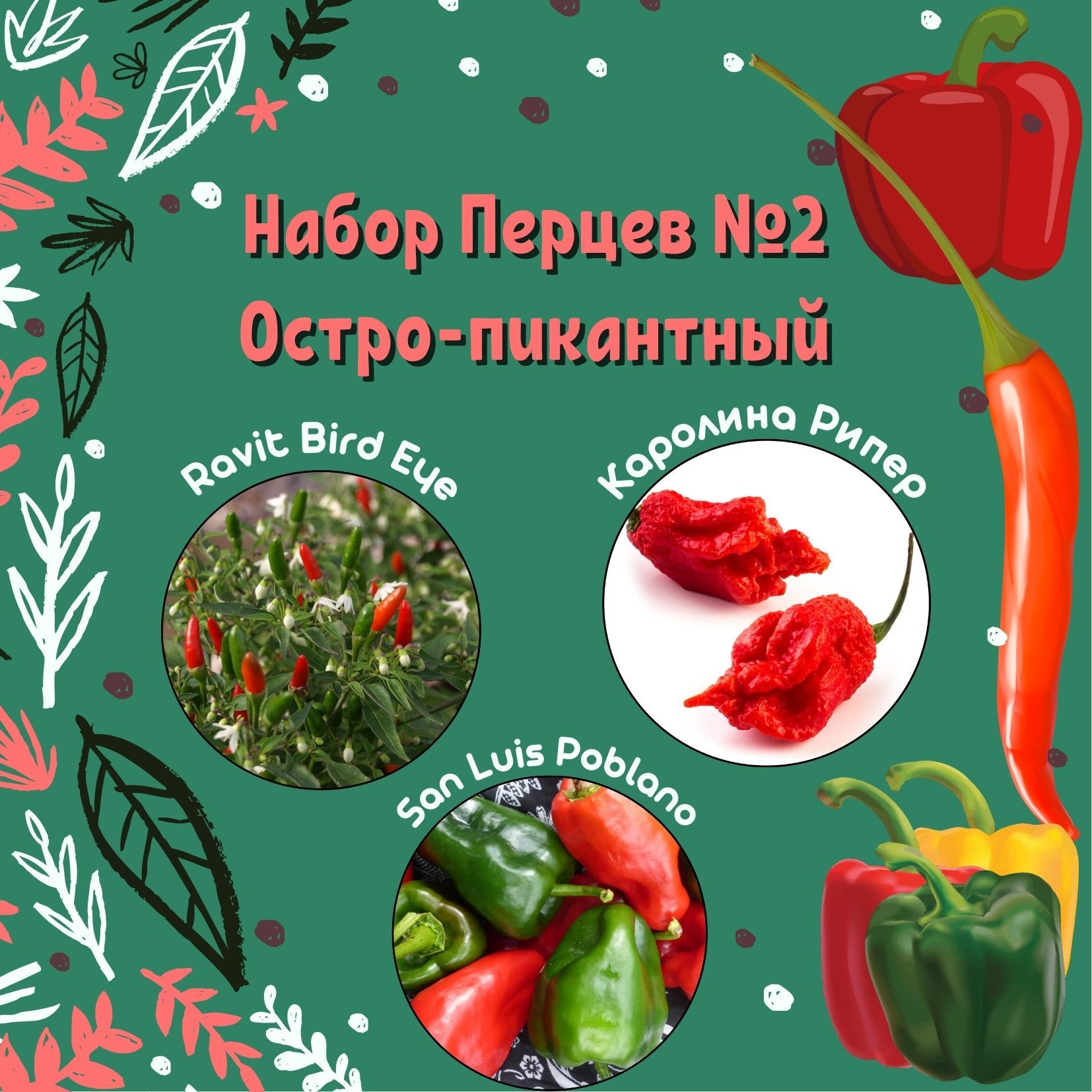 Семена Каролина Риппер Купить