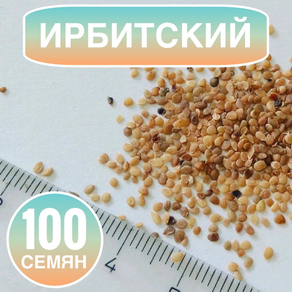 Купить В Москве Ботанические Семена Картофеля