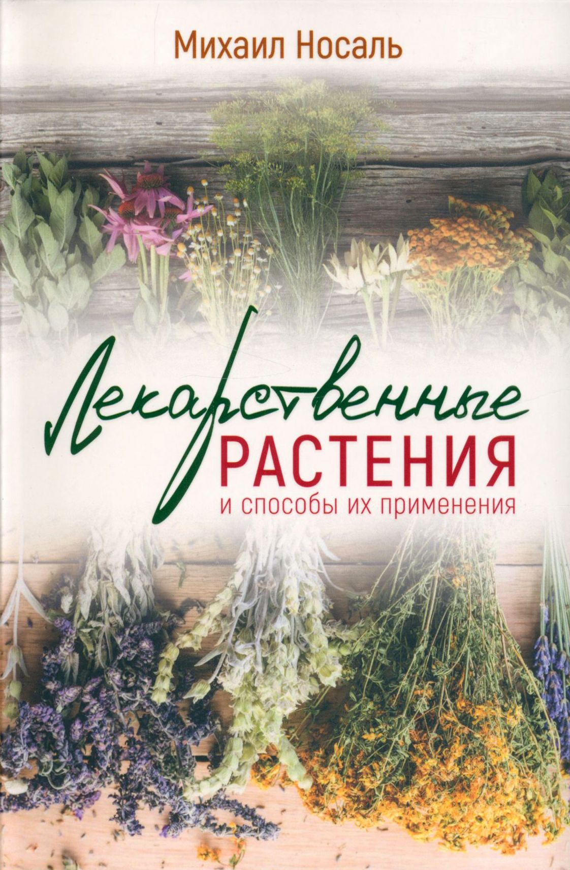 Лекарственные растения и способы их применения в народе | Носаль Михаил Андреевич