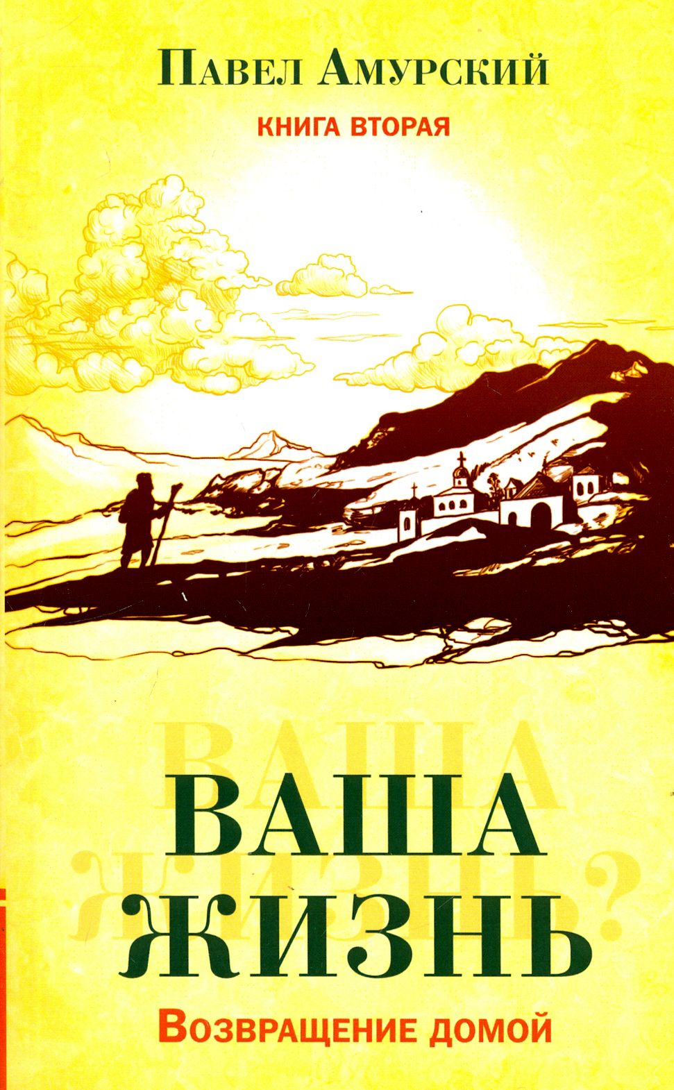 Ваша жизнь. Возвращение домой. Книга 2 | Амурский Павел - купить с  доставкой по выгодным ценам в интернет-магазине OZON (1456752884)