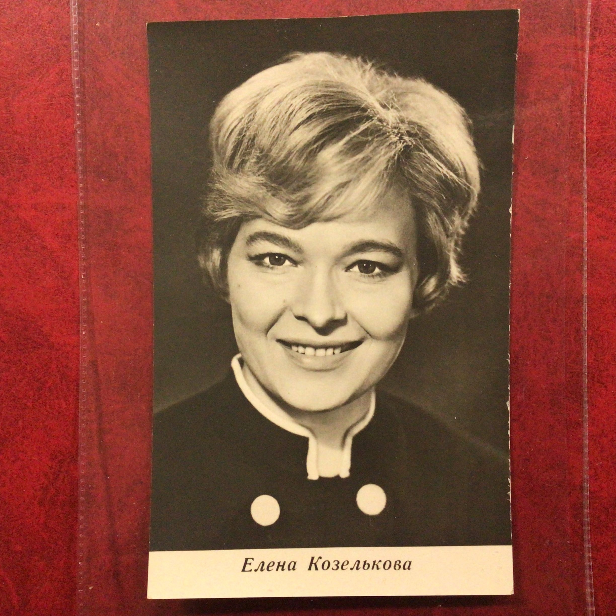 Дагмар козелькова