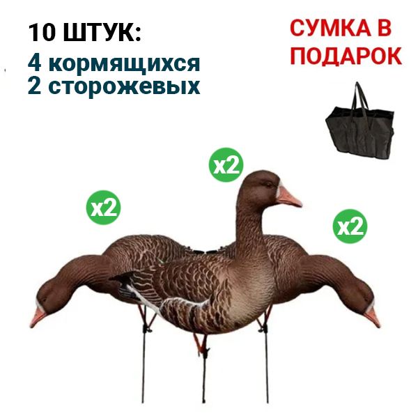 Полнокорпусные чучела гусей GREENHEAD Pro-Grade Full Body Specklebellies 6шт