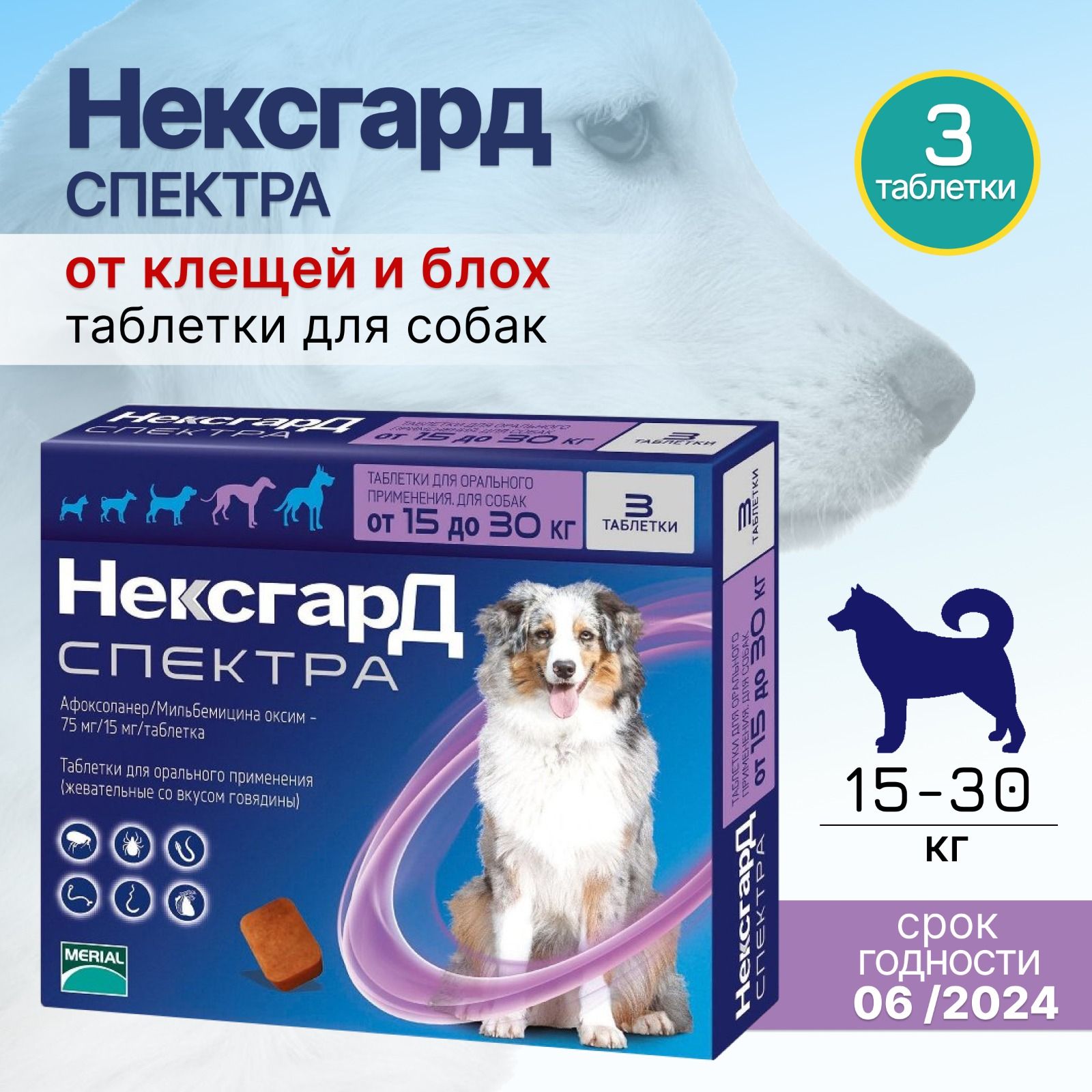 Фронтлайн нексгард для собак применение. Фронтлайн нексгард для собак применение