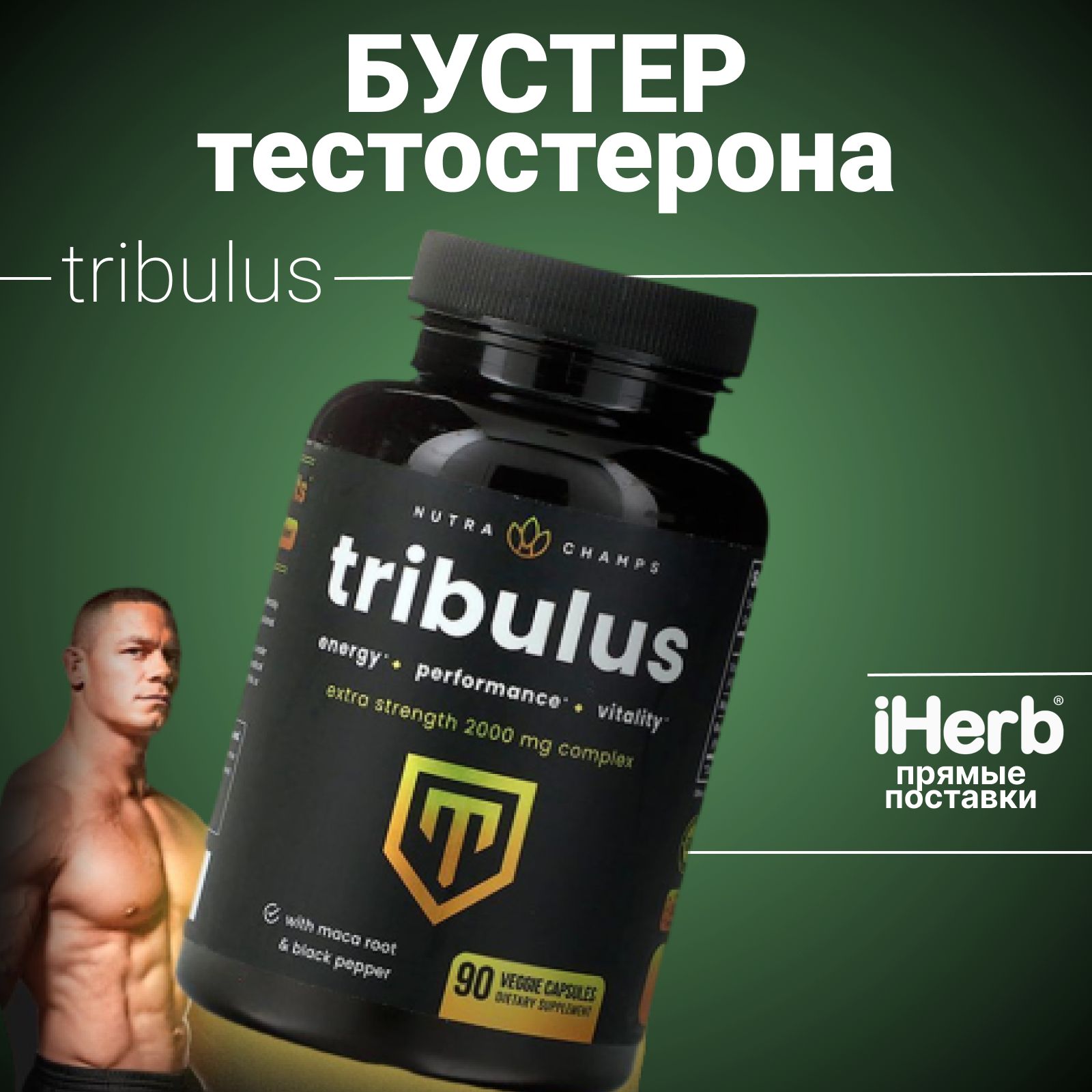 Tribulus, Nutra Champs, Трибулус, 2000мг, 90 капсул - купить с доставкой по  выгодным ценам в интернет-магазине OZON (1435178204)