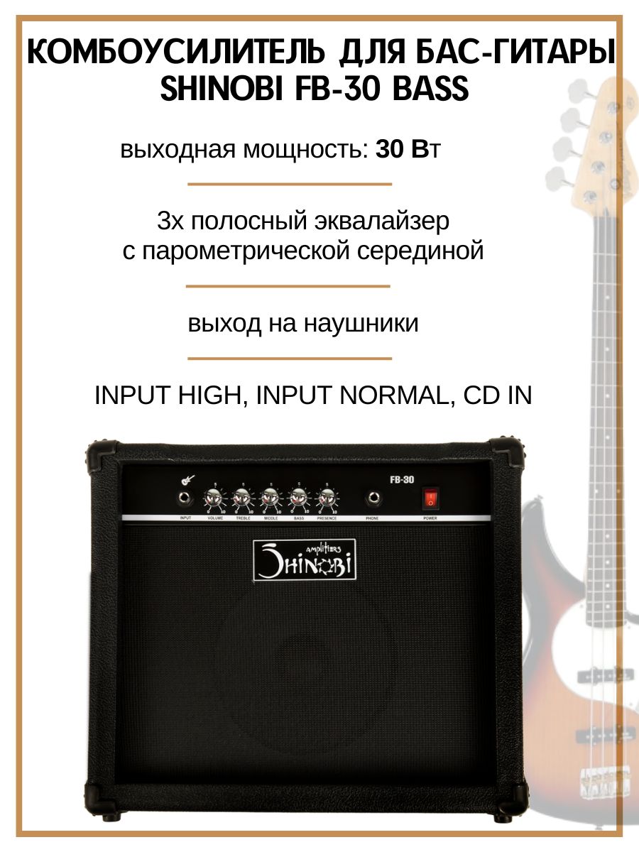 Комбоусилитель для бас-гитары FB-30 BASS