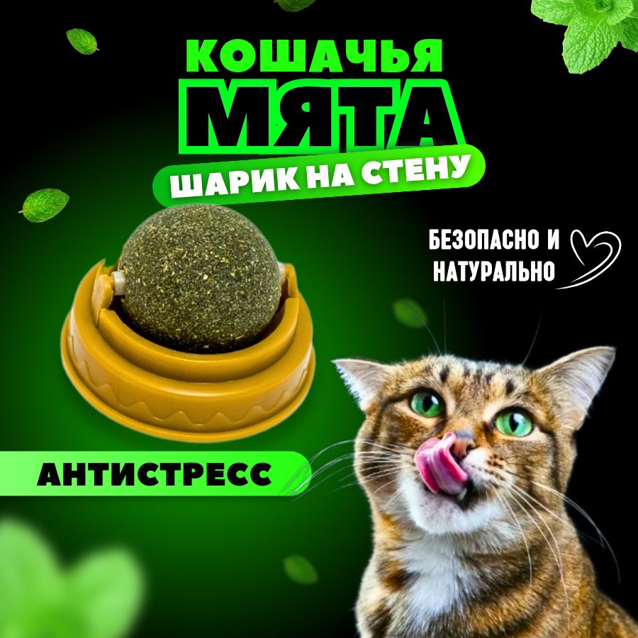 Кошачья мята / Шарик с кошачьей мятой на стену / Лакомство для кошек -  купить с доставкой по выгодным ценам в интернет-магазине OZON (634364959)