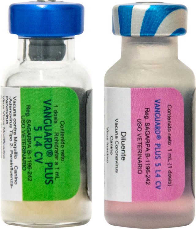 Вангард плюс 5l/4 cv. Вангард 7 вакцина для собак. Вангард 5. Вангард плюс 5 l4. Вангард 5.