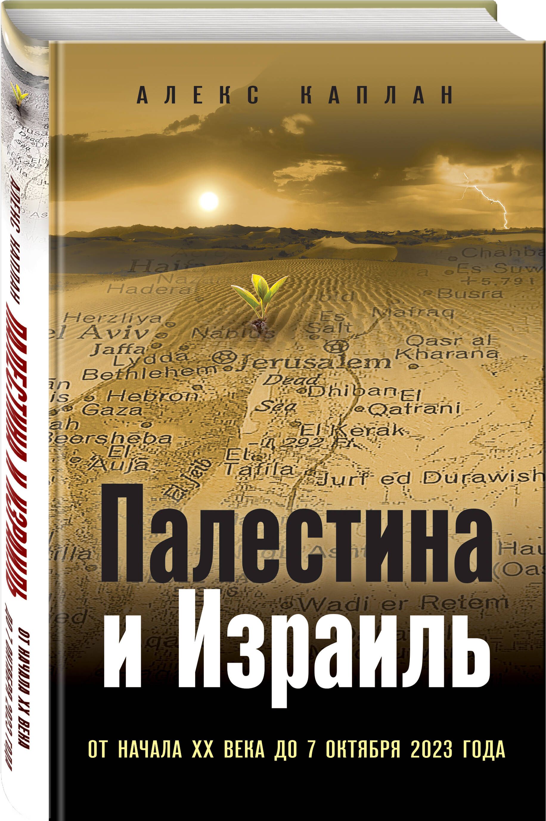 Палестина и Израиль. От начала XX века до 7 октября 2023 года - купить с  доставкой по выгодным ценам в интернет-магазине OZON (1500160771)