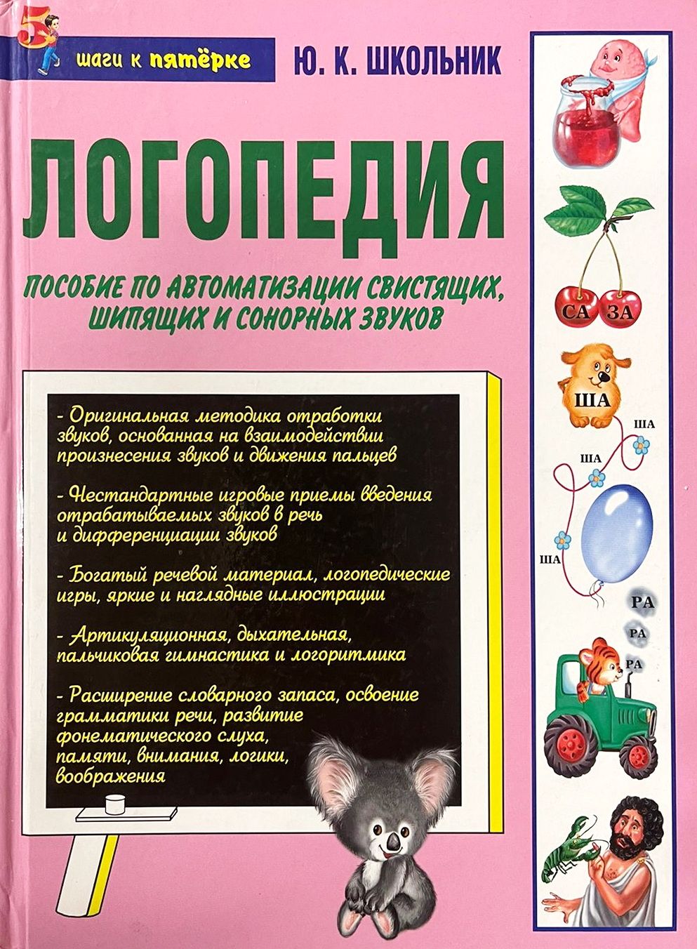 Постановка звуков пособия. Книги логопедия школьники. Логопедия пособия. Наглядное пособие логопеда для школьников. Книги для школьников по логопедии.