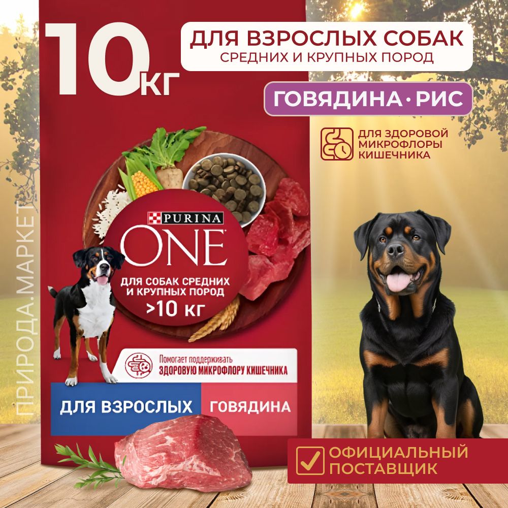 Сухой корм Purina ONE для взрослых собак средних и крупных пород, с высоким содержанием говядины и рисом, 10 кг