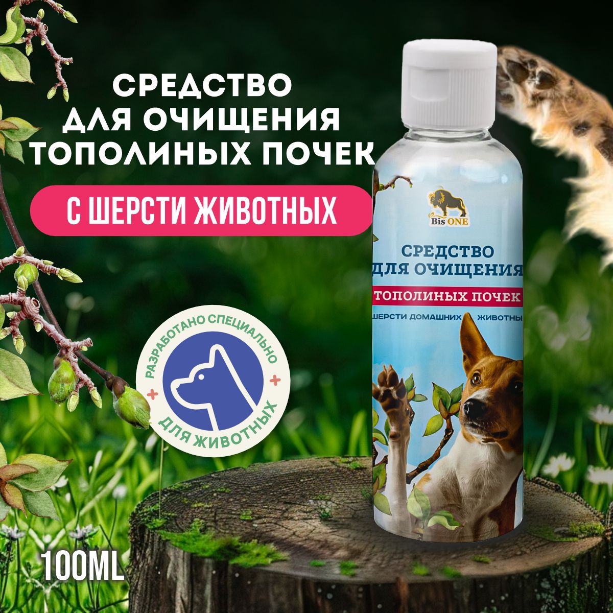 Очистить тополиные почки. Очистить тополиные почки