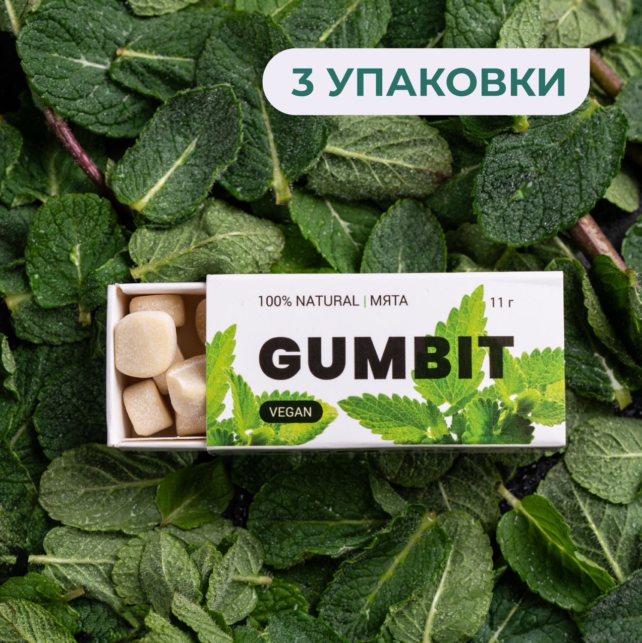 Натуральная жевательная резинка GUMBIT со вкусом Мята, 3 упаковки