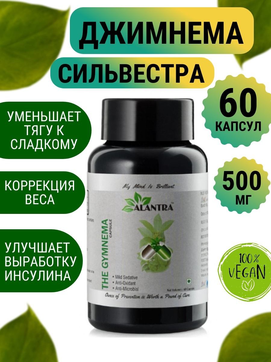 Джимнема Чай Купить В Аптеке