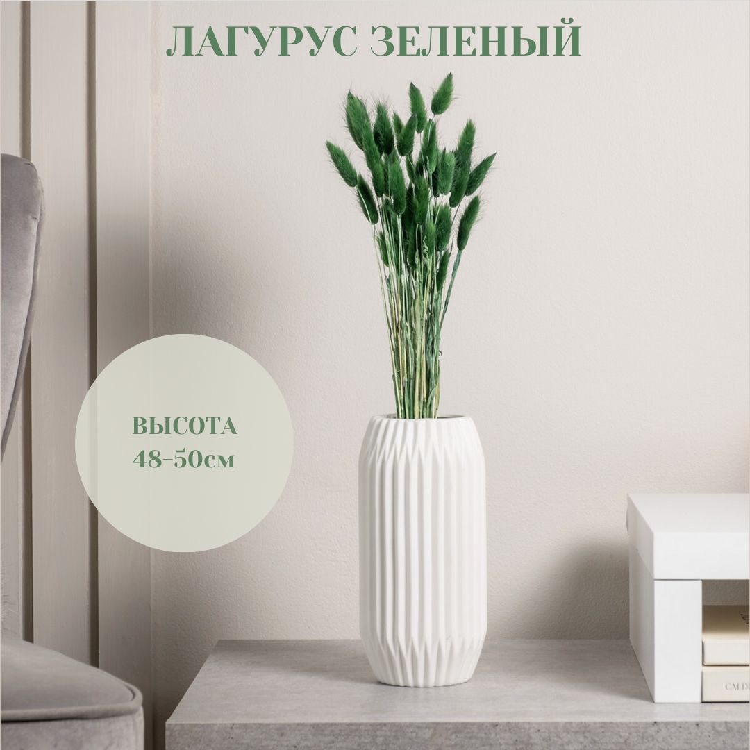 MC Сухоцветы Лагурус, 50 см, 50 гр, 30 шт