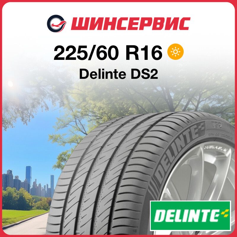 DelinteDS2Шинылетние225/60R1698H