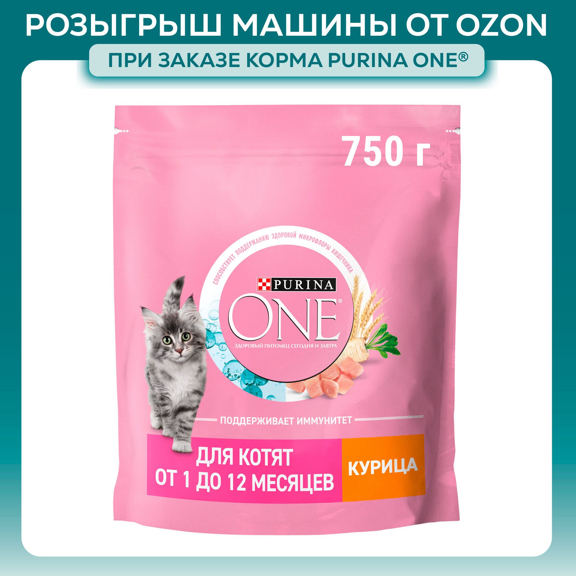 Сухой корм для котят Purina ONE, с курицей и цельными злаками, 750 г