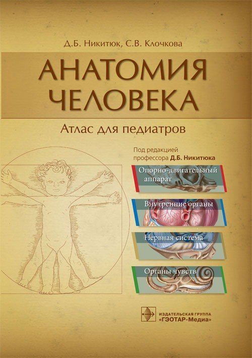 Анатомия человека : атлас для педиатров : учеб. пособие / Д. Б. Никитюк, 2019. 896 с. | Никитюк Дмитрий Борисович