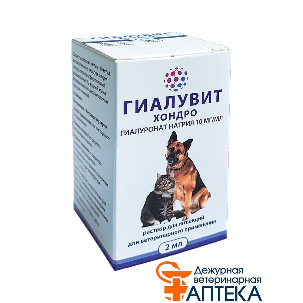 Гиалутидин для собак. Гиалутидин для собак. Гиалувит для кошек. Гиалувит. Гиалувит (гиалутидин) 125 мл.